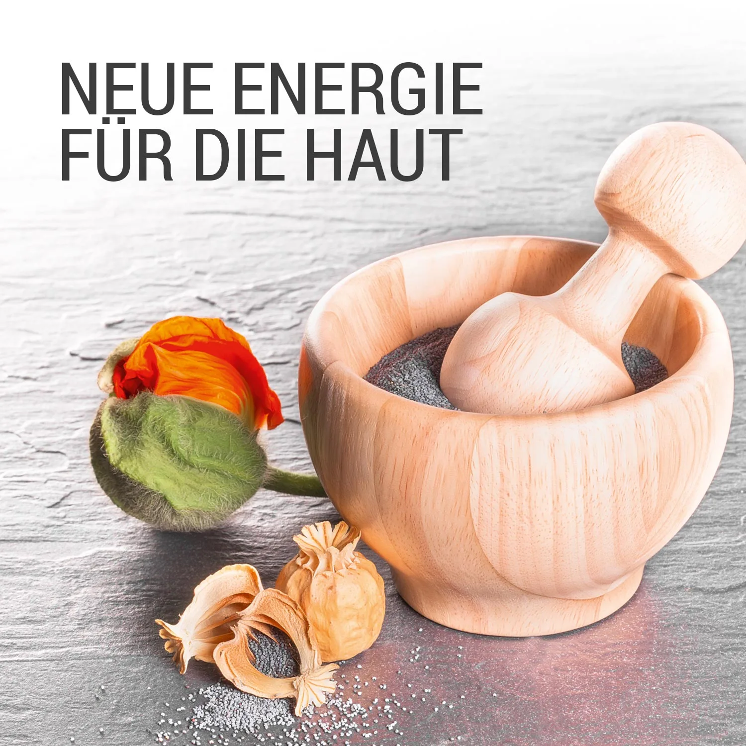 Charlotte Meentzen